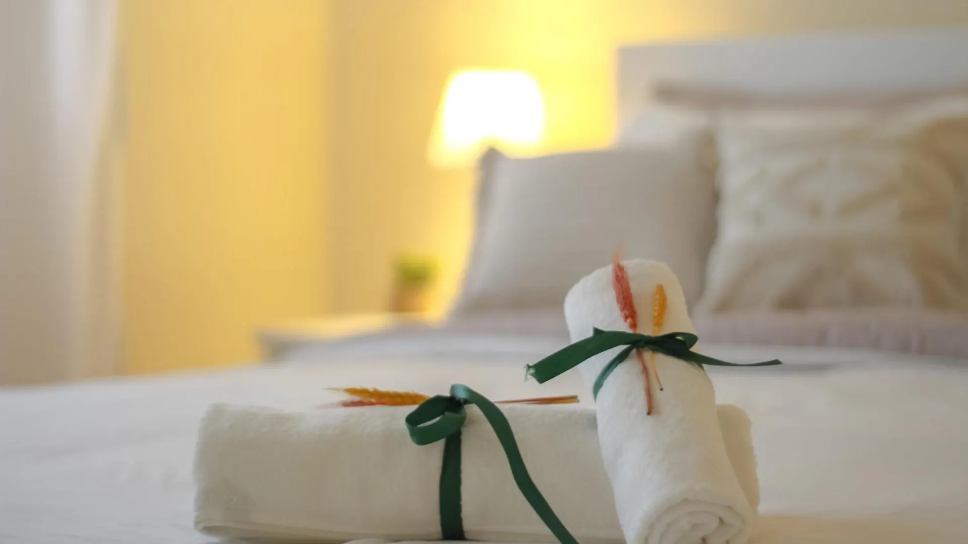 Appartamento City House Pisa